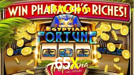 Sistemas de Segurança 65X