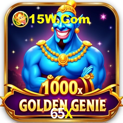 Casino VIP 65X