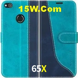 Login Seguro 65X